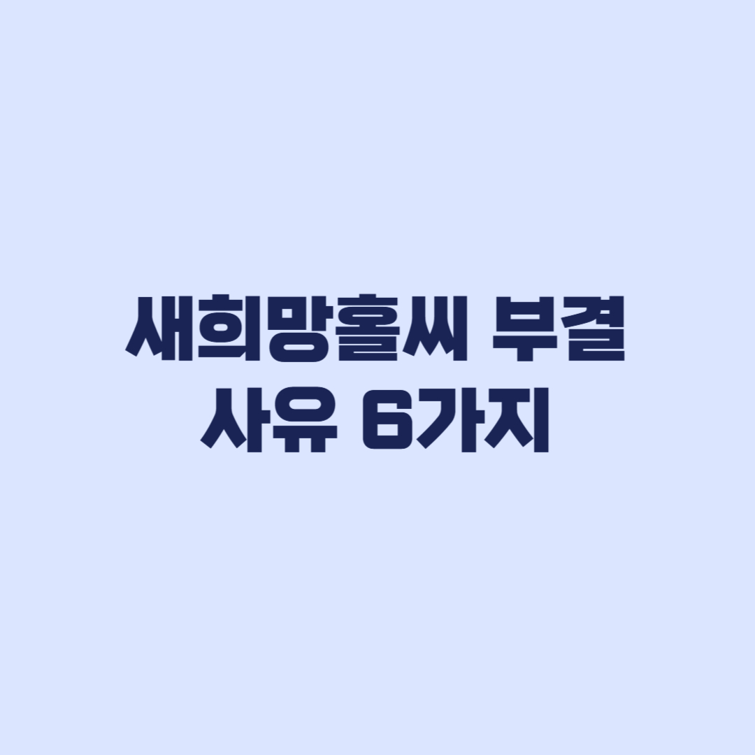 새희망홀씨 부결 사유 6가지 신청 전 확인해야 할 조건