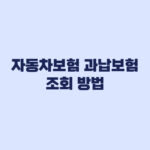 자동차보험 과납보험료 조회 방법과 확인 기준