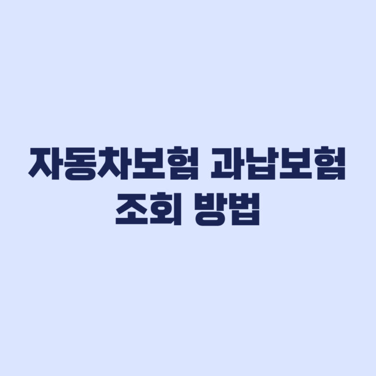 자동차보험 과납보험료 조회 방법과 확인 기준
