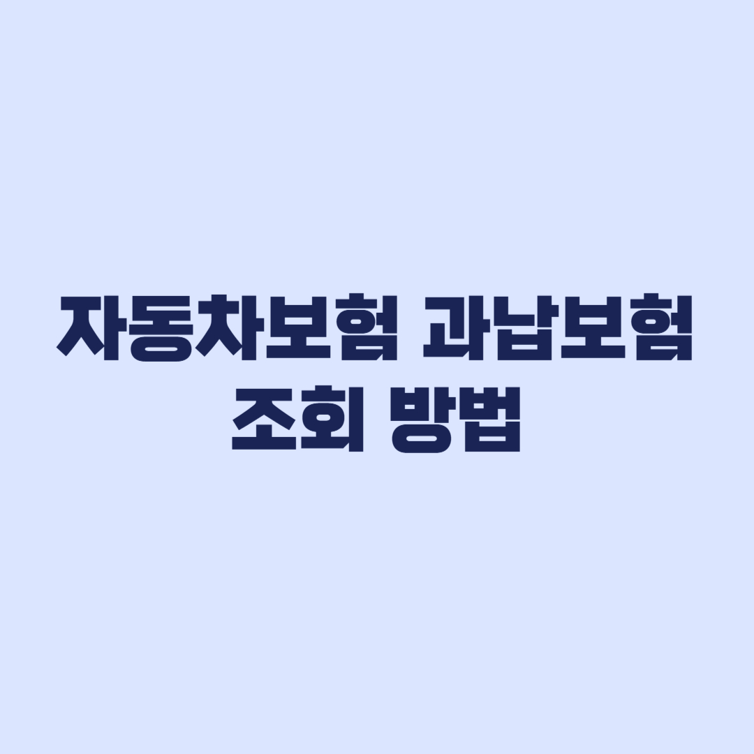 자동차보험 과납보험료 조회 방법과 확인 기준