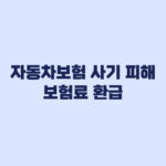 자동차보험 사기 피해 보험료 환급 대상과 조회 방법