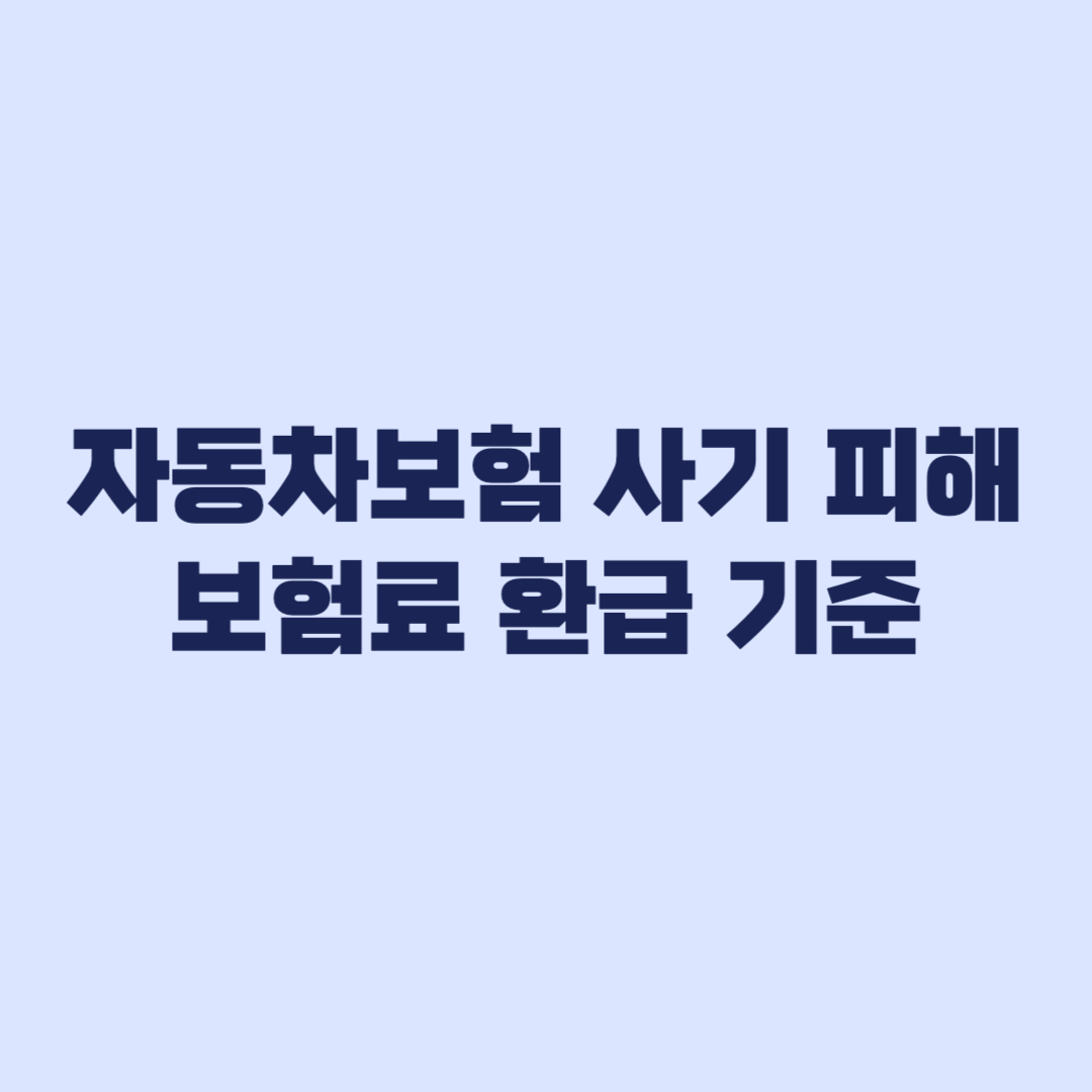 자동차보험 사기 피해 보험료 환급 확인 기준과 결과 해석