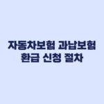 자동차보험 환급 신청 절차와 확인사항
