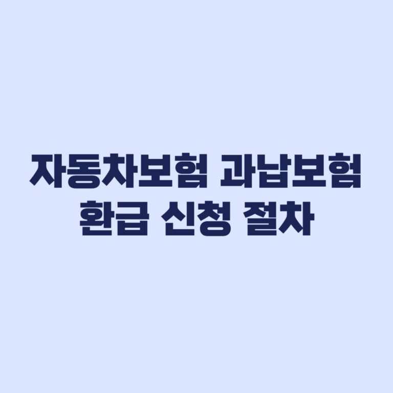 자동차보험 환급 신청 절차와 확인사항