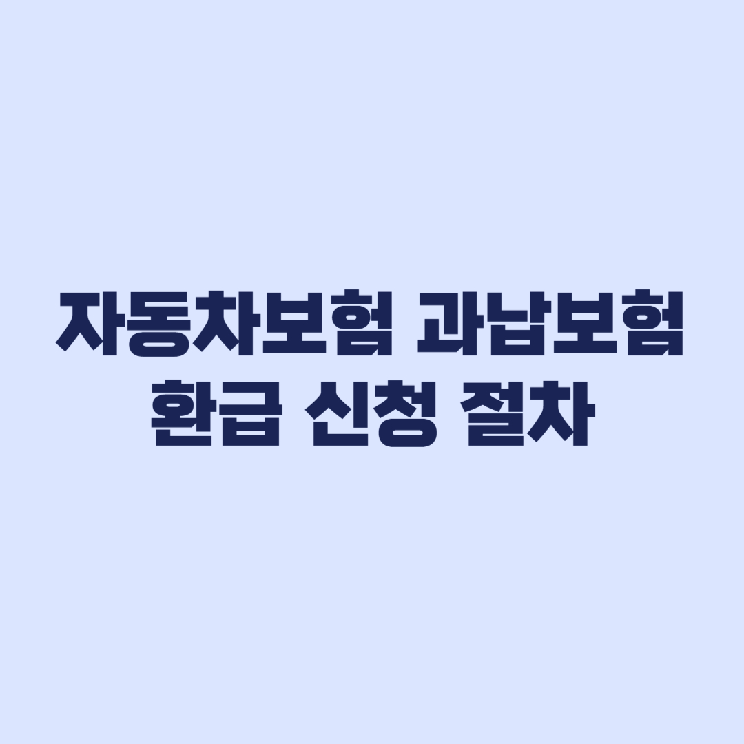 자동차보험 환급 신청 절차와 확인사항