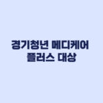 경기청년 메디케어 플러스 대상 건강검진 예방접종 대상 차이