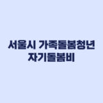 서울시 가족돌봄청년 자기돌봄비 5월 26일 마감 전 확인