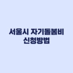 서울시 자기돌봄비 신청 전 가족돌봄정보 등록 절차