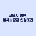 서울시 청년 임차보증금 다시 신청 가능 여부와 승인거부 기준