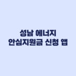 성남 에너지 안심지원금 CHAK 앱 신청과 방문 접수 준비서류