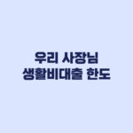 우리 사장님 생활비대출 한도 2000만원 신청 전 제한