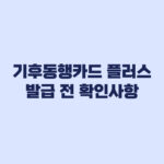 기후동행카드 플러스 기존 카드, 새 발급 전 확인할 것