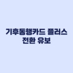 기후동행카드 플러스 전환 유보, 기존 카드 먼저 확인