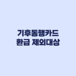 기후동행카드 환급 제외대상 계좌 등록 누락 사유