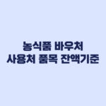 농식품 바우처 2026 사용처 품목 잔액 기준