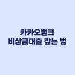 카카오뱅크 비상금대출 갚는 법 중도상환 이자 줄이기