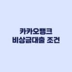 카카오뱅크 비상금대출 조건보다 이자 상환 리스크