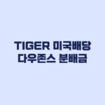 TIGER 미국배당다우존스 분배금 지급일 월별 내역