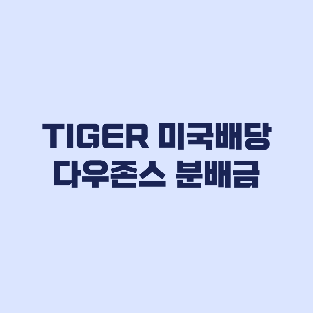 TIGER 미국배당다우존스 분배금 지급일 월별 내역