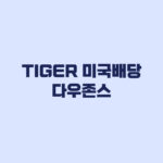 TIGER 미국배당다우존스 비용 세금과 원금손실 확인