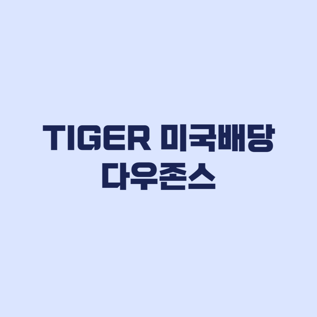 TIGER 미국배당다우존스 비용 세금과 원금손실 확인