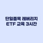 단일종목 레버리지 ETF 교육 3시간 현재 과정과 적용 시점