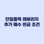 단일종목 레버리지 기존 보유자 추가 매수 현금 조건