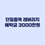 단일종목 레버리지 예탁금 3000만원 날짜별 적용 기준