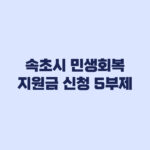 속초시 민생회복지원금 신청 5부제와 대리서류·전입 기준