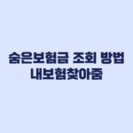 숨은보험금 조회 방법 내보험찾아줌 전화 앱 주의