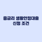 중금리 생활안정대출 신청 조건 DSR 한도 확인
