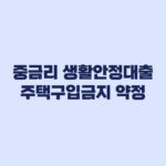 중금리 생활안정대출 주택구입금지 약정 불이익