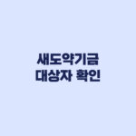 새도약기금 대상자 확인 5천만원 기준과 채권사 점검
