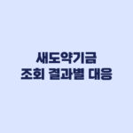 새도약기금 조회 결과별 상태와 다음 행동