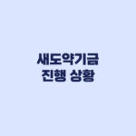 새도약기금 진행 상황 심사중이면 어디까지 왔나