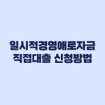 일시적경영애로자금 직접대출 신청방법 접수 버튼과 서류 준비