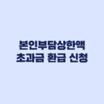 2026 본인부담상한액 초과금 환급 신청, 자동지급 대상부터 확인