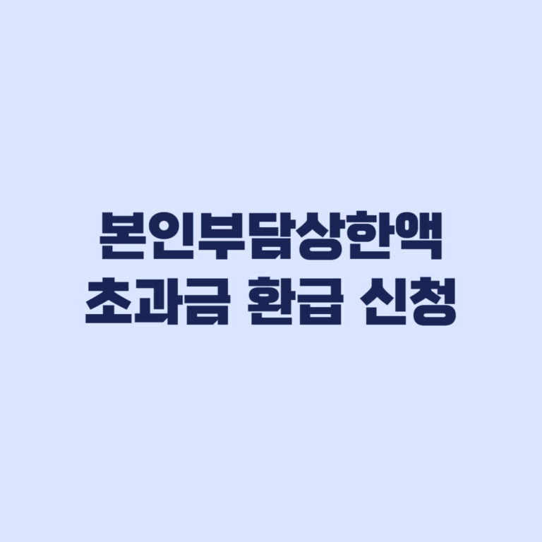 2026 본인부담상한액 초과금 환급 신청, 자동지급 대상부터 확인