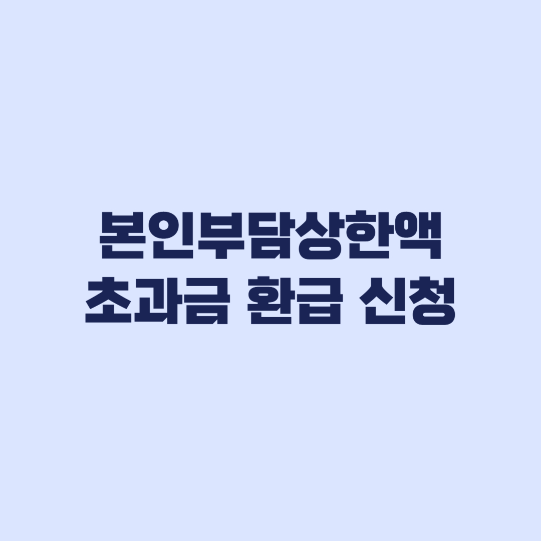 2026 본인부담상한액 초과금 환급 신청, 자동지급 대상부터 확인
