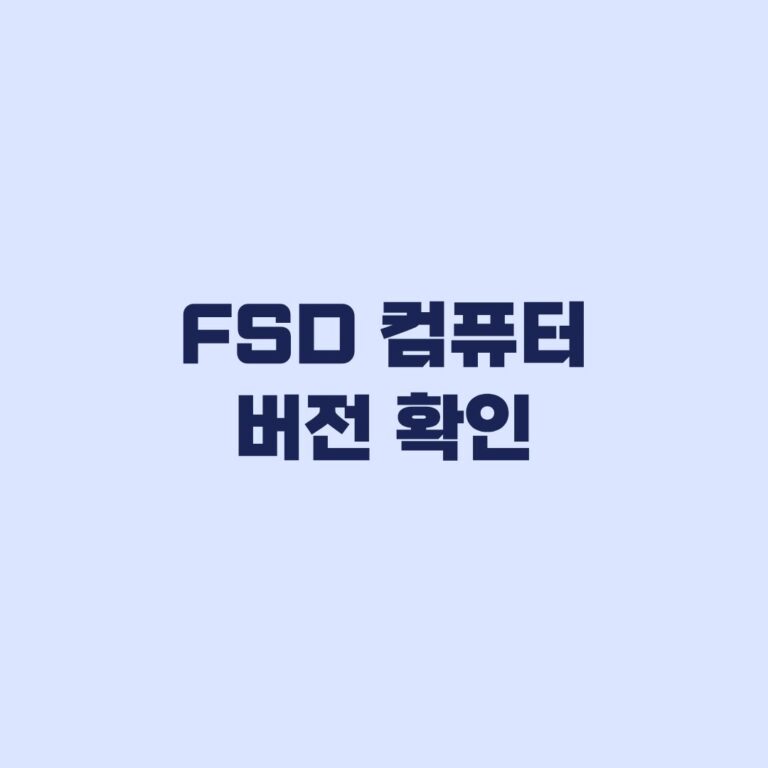 FSD 컴퓨터 버전 확인 차량과 앱에서 보는 법