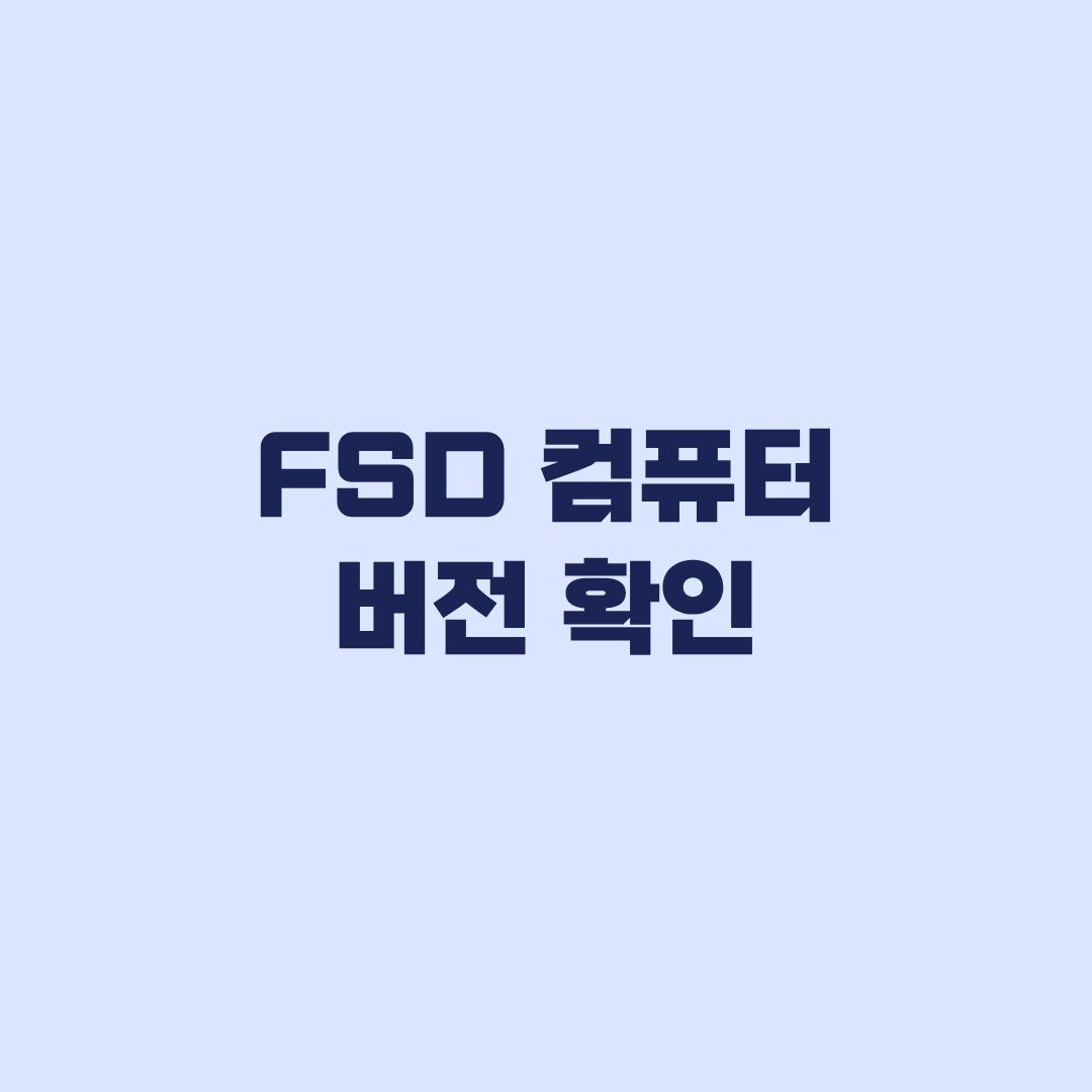 FSD 컴퓨터 버전 확인 차량과 앱에서 보는 법