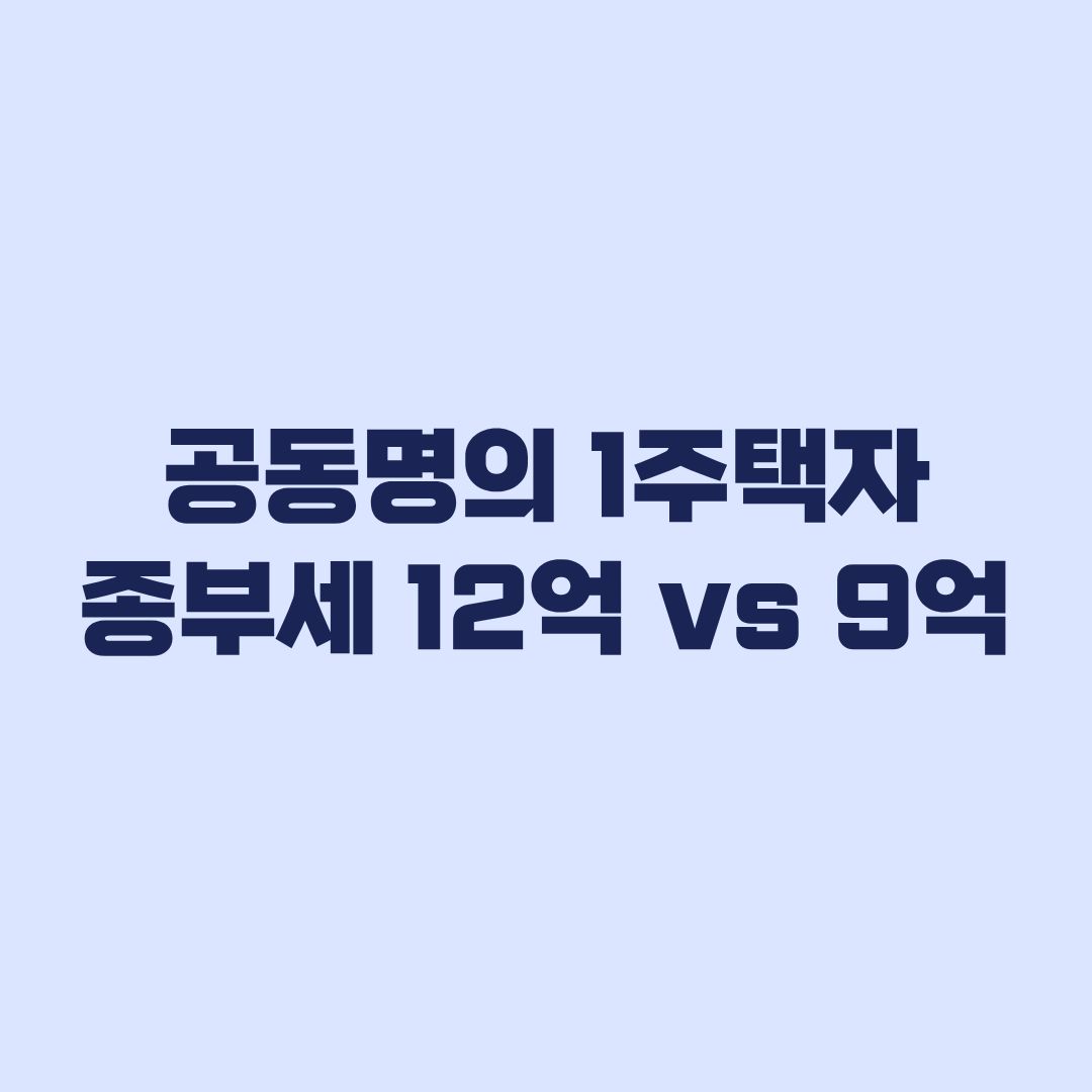 공동명의 1주택자 종부세 특례 유불리 12억과 각 9억 비교
