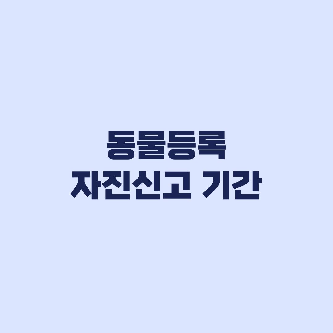 동물등록 자진신고 기간, 10월 31일까지 신규·변경신고 확인