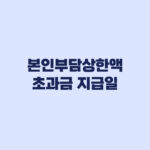 본인부담상한액 초과금 지급일·신청, 자동지급 여부부터 확인