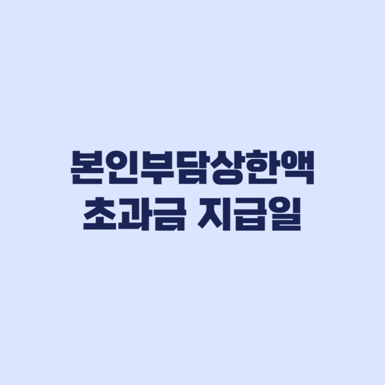 본인부담상한액 초과금 지급일·신청, 자동지급 여부부터 확인