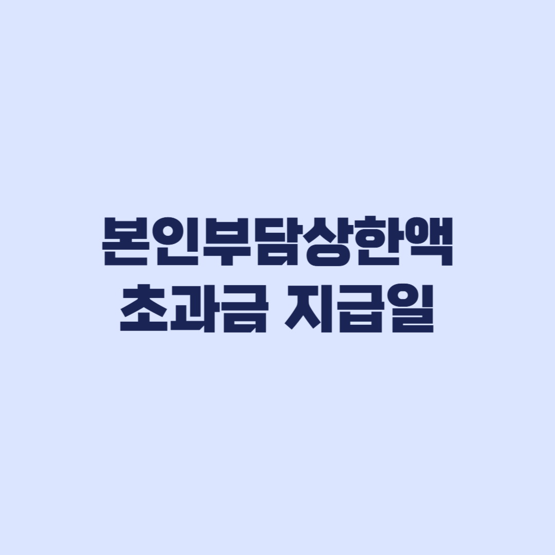 본인부담상한액 초과금 지급일·신청, 자동지급 여부부터 확인