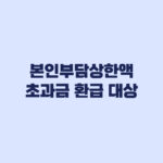 본인부담상한액 초과금 환급 대상, 적용 의료비와 제외 비용 확인