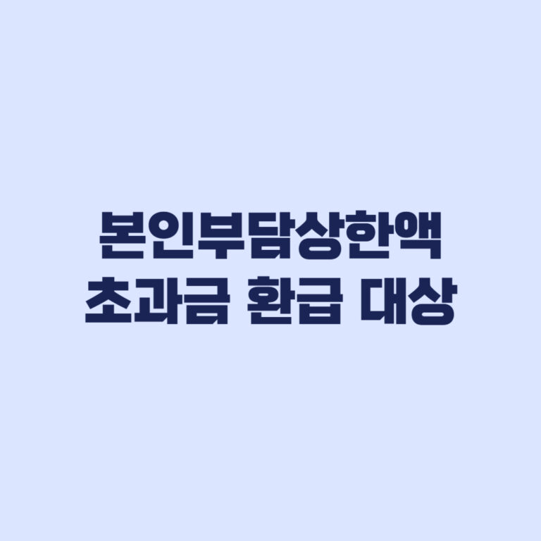 본인부담상한액 초과금 환급 대상, 적용 의료비와 제외 비용 확인