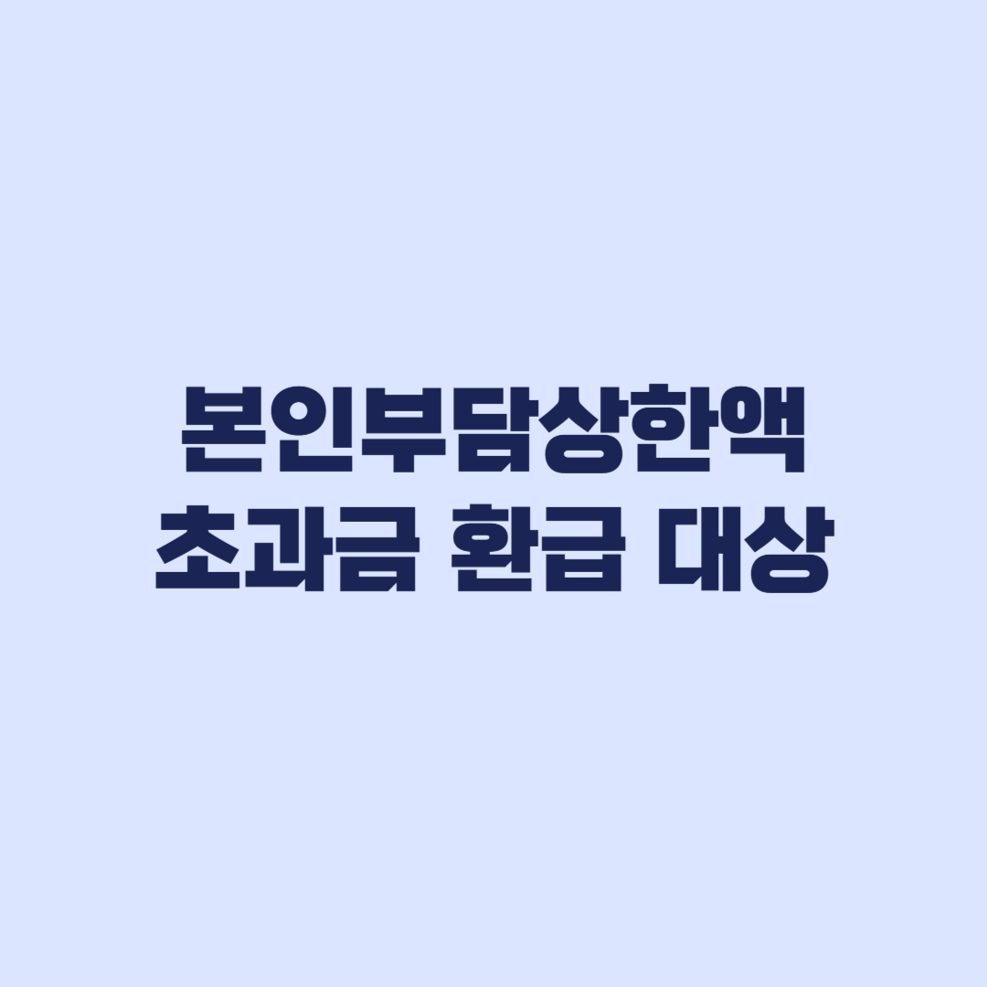 본인부담상한액 초과금 환급 대상, 적용 의료비와 제외 비용 확인