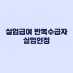 실업급여 반복수급자 실업인정 차수별 재취업활동 기준